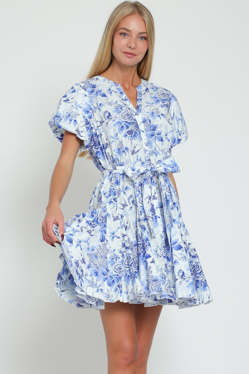 FLORAL BUTTON DOWN MINI DRESS - BLUE/WHITE