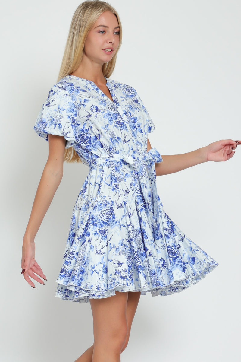 FLORAL BUTTON DOWN MINI DRESS - BLUE/WHITE