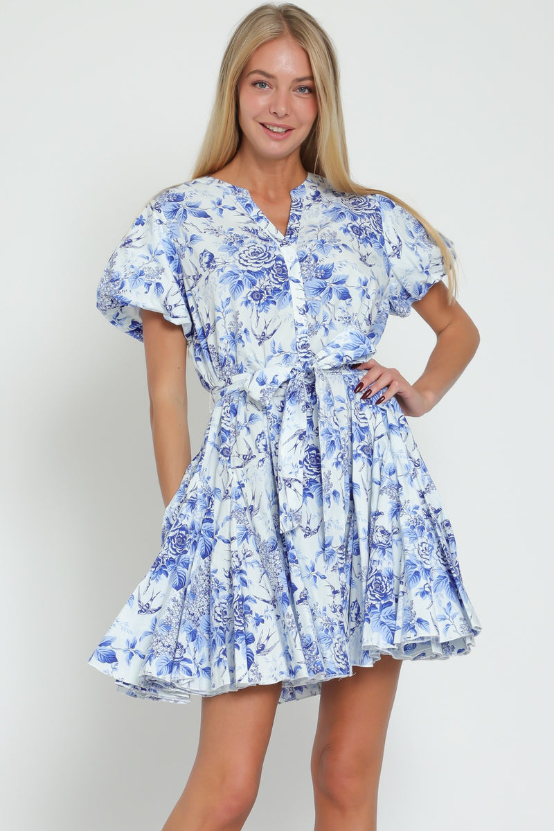FLORAL BUTTON DOWN MINI DRESS - BLUE/WHITE