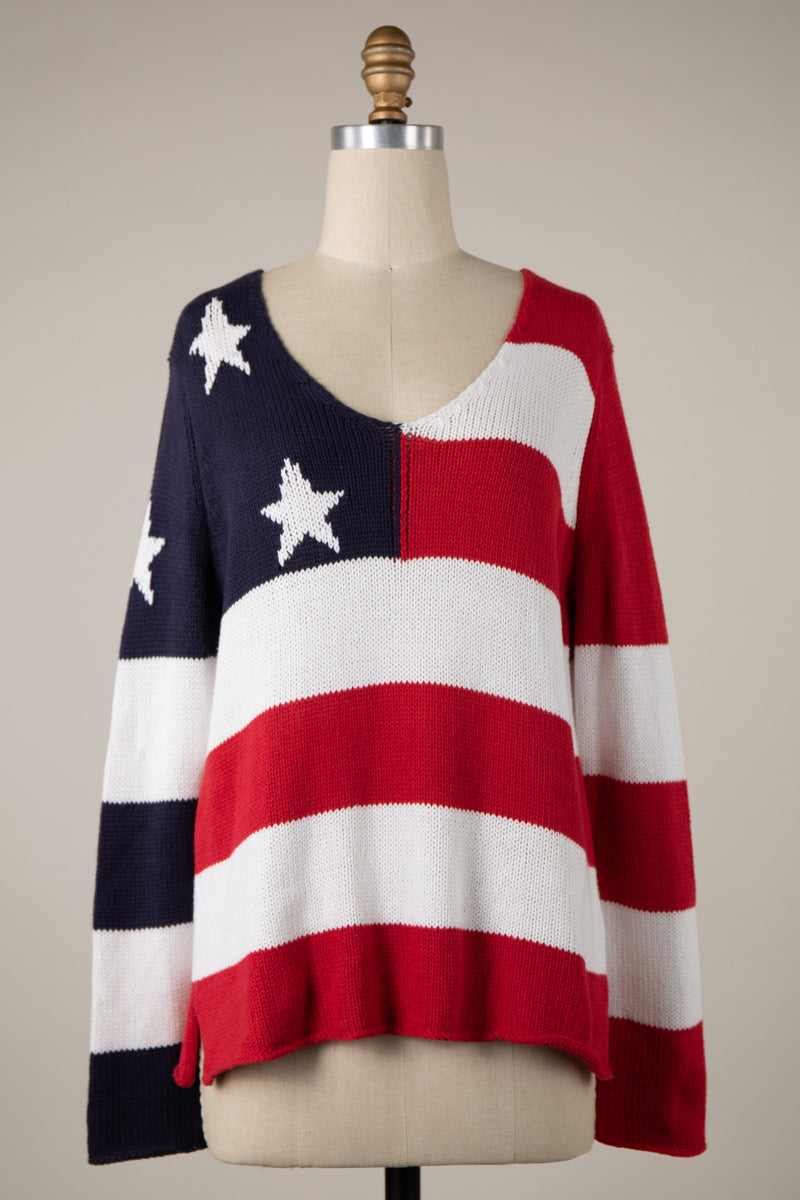 AMERICAN FLAG V-NECK SWEATER - NAVY