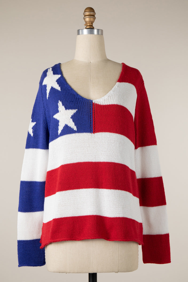 AMERICAN FLAG V-NECK SWEATER - ROYAL